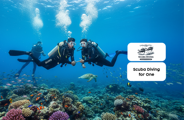Scuba Diving Adventure Gift Box: Explore India’s Underwater Wonders Across 20+ Iconic Locations