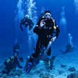 Exciting 2-Day PADI Scuba Diver Certification Course in Kovalam Kerala