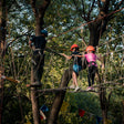 Palampur Adventure and Heritage Experience with Tea Garden Tour