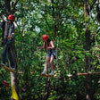 Tea Top Adventure & Ape Climbing Experience in Himachal