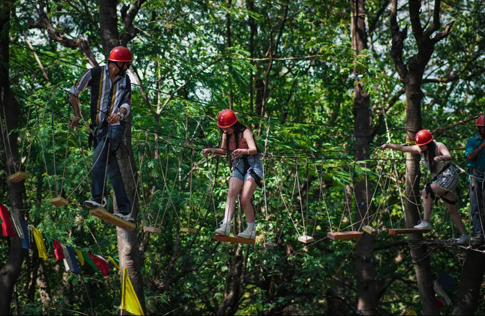 Tea Top Adventure & Ape Climbing Experience in Himachal