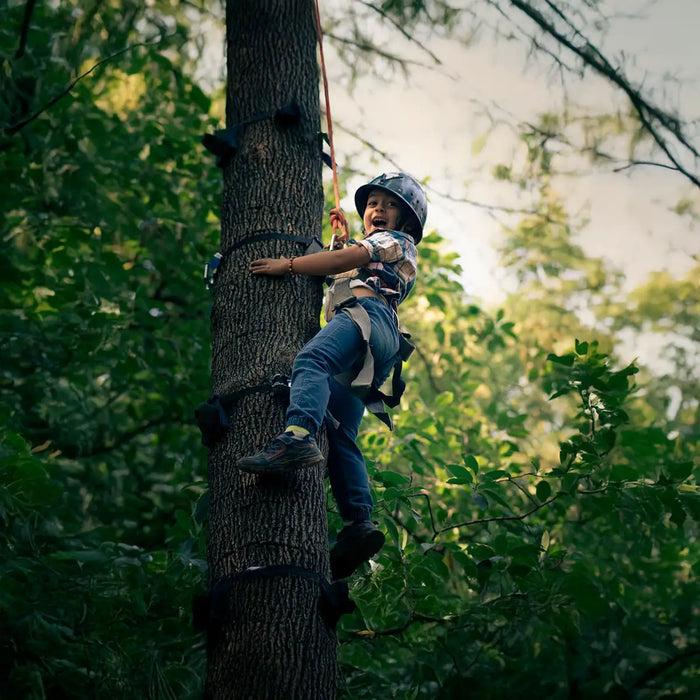 Tea Top Adventure & Ape Climbing Experience in Himachal