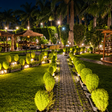 The Sunroom Gurugram - Charming Glass Café Dining Experience for Two