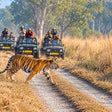 Thrilling Private Jeep Safari in the Jim Corbett Surrounding Forests for Up to 6 People