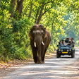 Thrilling Private Jeep Safari in the Jim Corbett Surrounding Forests for Up to 6 People