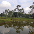 Tranquil Angling Experience at The Riverwood Forest Retreat, Dooars