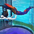 Indoor Skydiving in Hyderabad