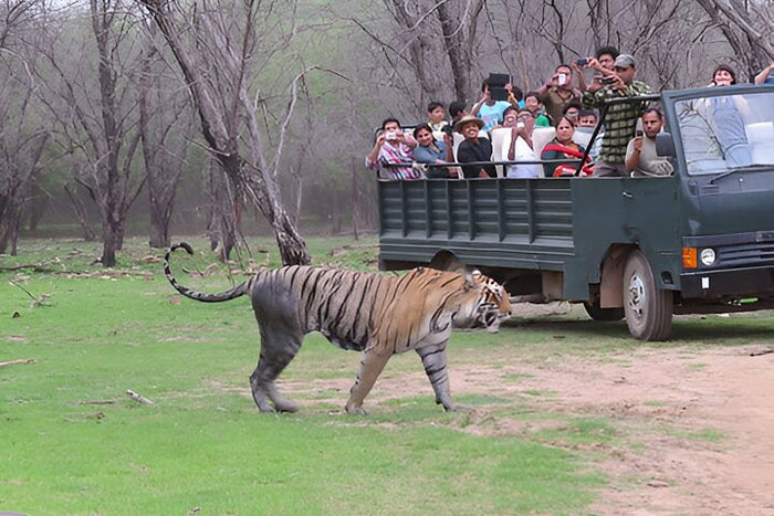 Canter Safari at Ran