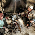 Food freshly prepared by local family
