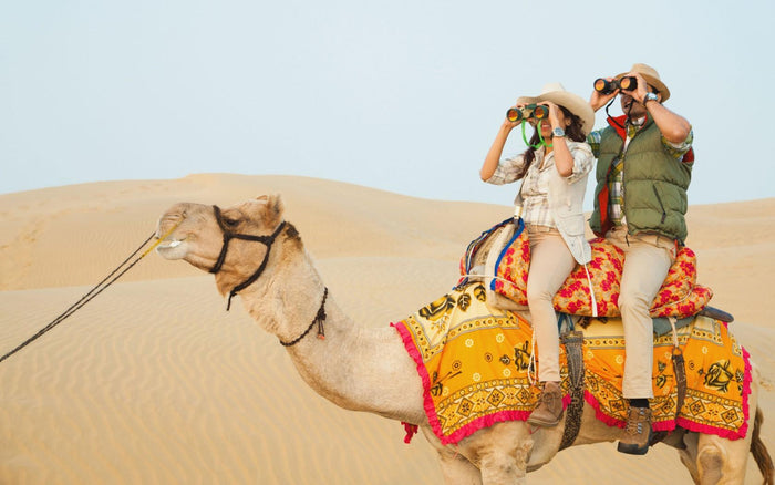 Camel Safari with Dance & Music Tickets