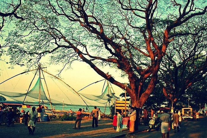 Curated Highlights of Cochin - Group Shore Excursion from Pier