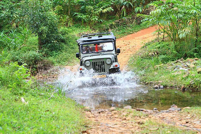 Thrilling Sathram Off-Road Jeep Safari in Thekkady