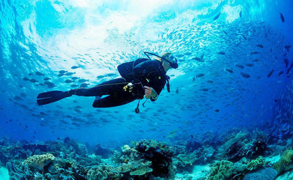 Unforgettable Scuba Diving In Chennai