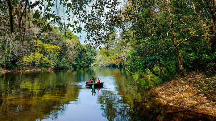 Scenic Traditional Coracle Ride in Kerala by Bond Safari Kovalam