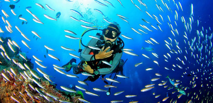 Scuba Diving Experience in Pondicherry