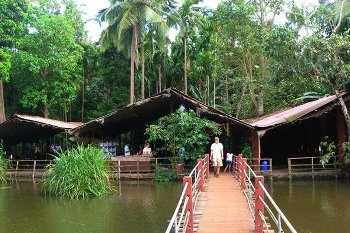 Delectable Full-Day Goa Shore Excursion Including Lunch at Spice Plantation