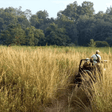 Thrilling Jeep Safari in Jim Corbett National Park from Ramnagar
