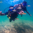 Thrilling Discover Scuba Diving Experience in Kovalam by Bond Safari