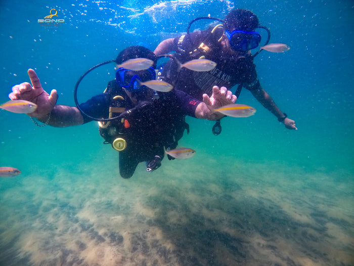 Thrilling Discover Scuba Diving Experience in Kovalam by Bond Safari