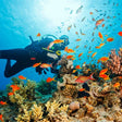 Thrilling Discover Scuba Diving Experience in Kovalam by Bond Safari