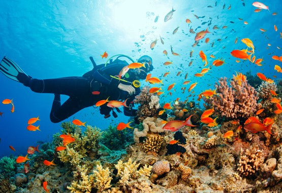 Thrilling Discover Scuba Diving Experience in Kovalam by Bond Safari