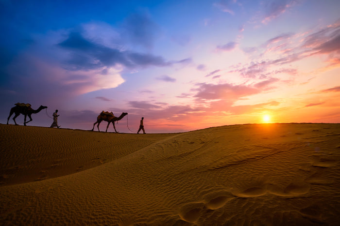 Half-Day Camel Safari in Jaisalmer