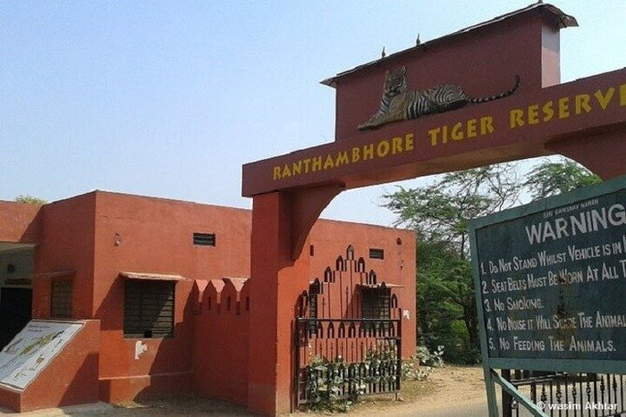 Ranthambore Tiger Reserve