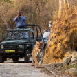 Thrilling Jeep Safari in Jim Corbett National Park from Ramnagar