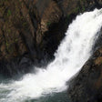Curated Private Adventures in the Jungle near Goa