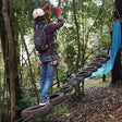 Immersive Tree Top Adventure