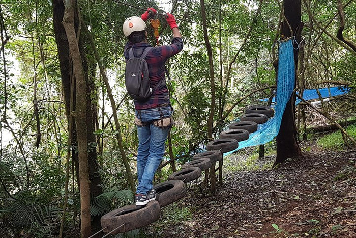 Immersive Tree Top Adventure