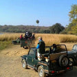 Chambal Safari Adventure for One