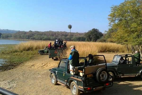 Chambal Safari Adventure for One
