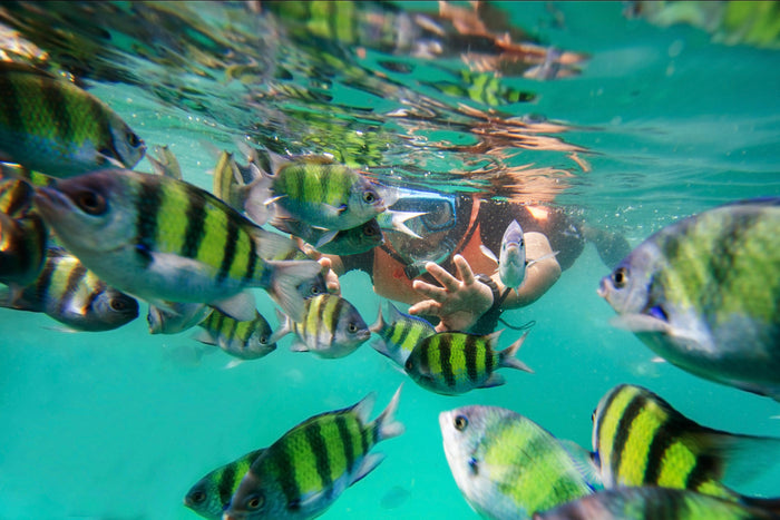 Jet Ski and Snorkeling Combo, Havelock