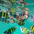 Jet Ski and Snorkeling Combo, Havelock