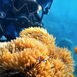 Signature Scuba Diving For Non Swimmers at Havelock Island