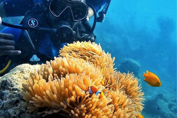 Signature Scuba Diving For Non Swimmers at Havelock Island