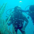 Signature Scuba Diving For Non Swimmers at Havelock Island