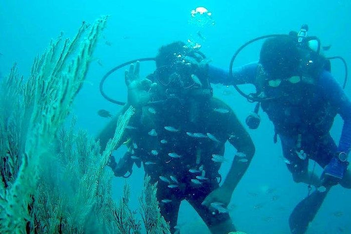 Signature Scuba Diving For Non Swimmers at Havelock Island