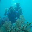 Signature Boat Scuba Diving at Neil Island