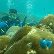 Signature Scuba Diving For Non Swimmers at Havelock Island
