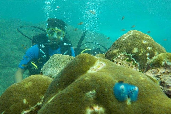 Signature Scuba Diving For Non Swimmers at Havelock Island