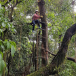 Immersive Tree Top Adventure
