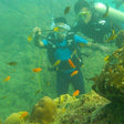 Signature Scuba Diving For Non Swimmers at Havelock Island