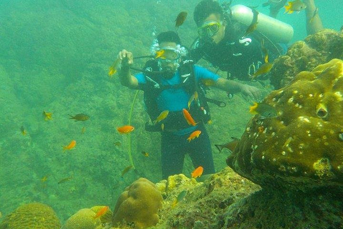 Signature Scuba Diving For Non Swimmers at Havelock Island