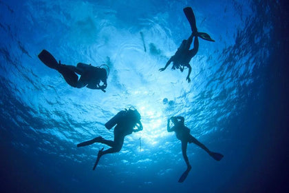 Signature Scuba Diving In Gujarat
