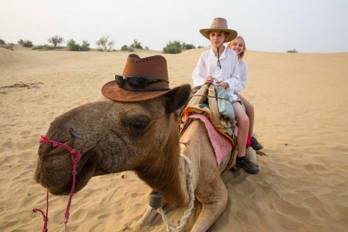 Chef-Curated Jaisalmer Private Dinner on Dunes