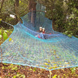 Immersive Tree Top Adventure
