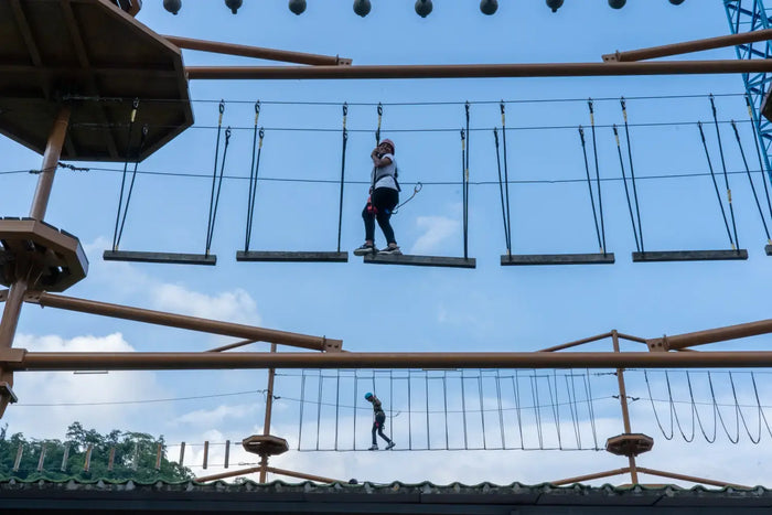 Rope Course in Rishikesh