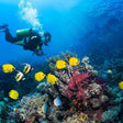 Coral Tulamben Beach